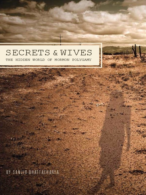 Cover image for Secrets & Wives